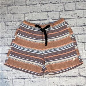 Urban Outfitters Without Walls Shorts - Medium